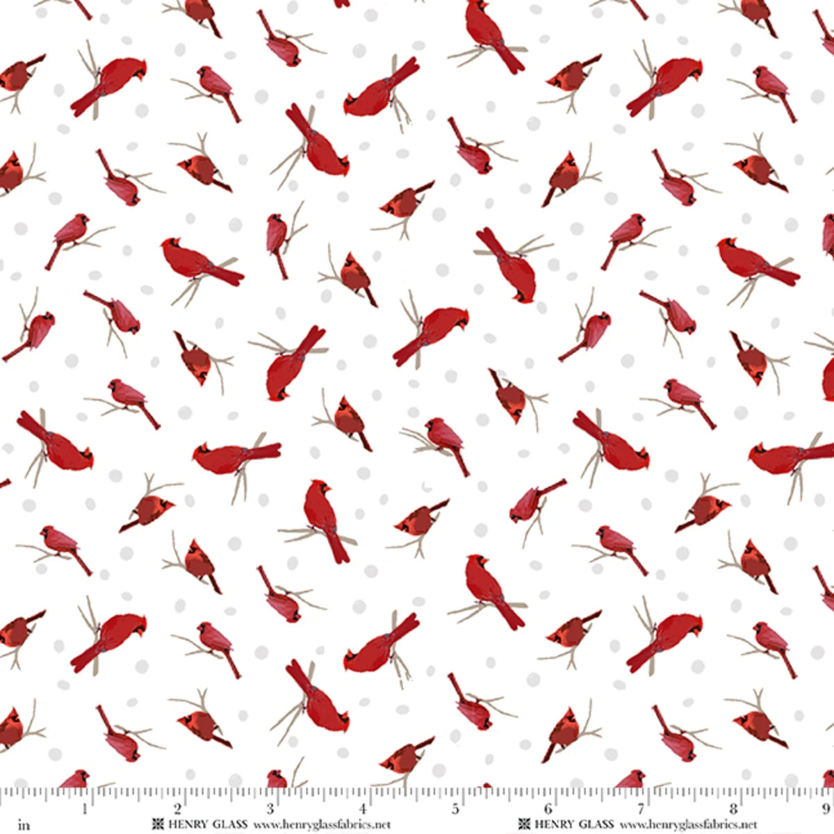 Tailgate Traditions Cardinals 2911-08 White