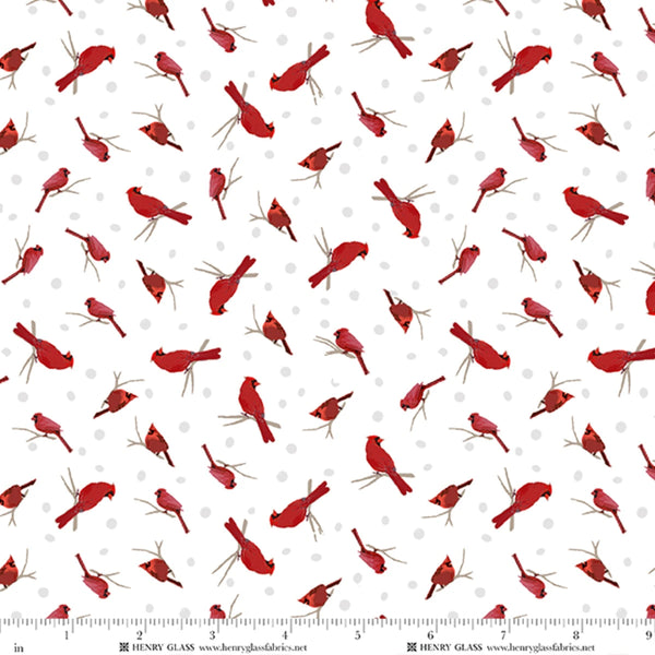 Tailgate Traditions Cardinals 2911-08 White