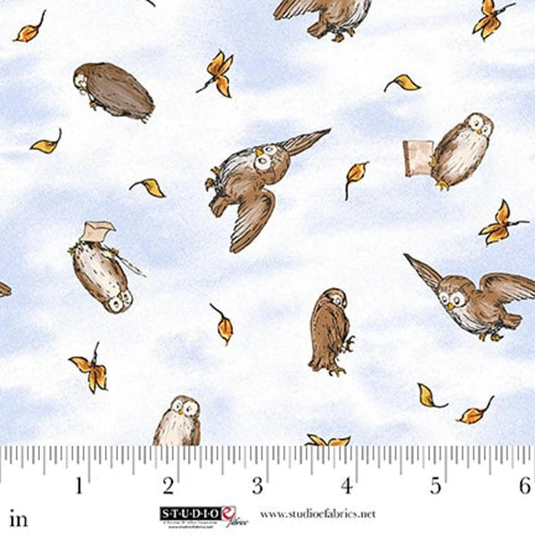 Classic Winnie - Owls Lt. Blue - 8718-11