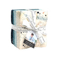 Data Fat Quarter Bundle (26 pcs)