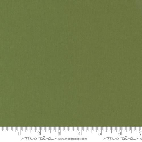 Bella Solids Terrain Cactus