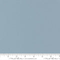 Bella Platinum Remnant (.5 yd)