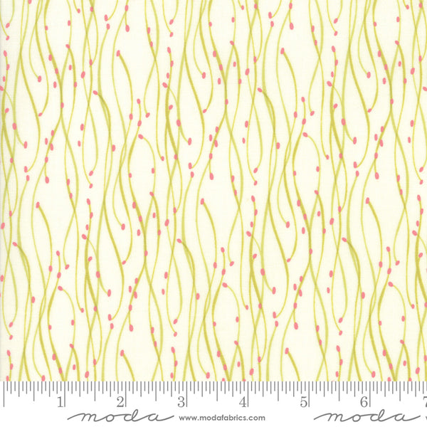 Abby Rose Greenery