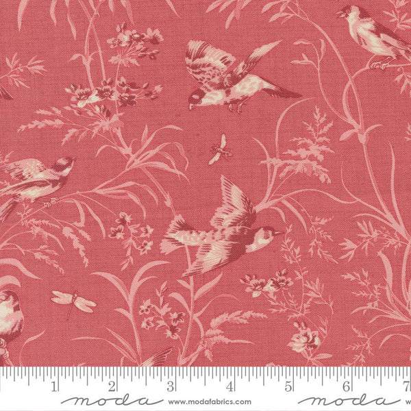 Antoinette Faded Red Wings