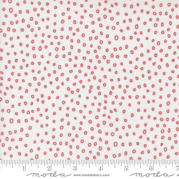 Botany Seeds Paper