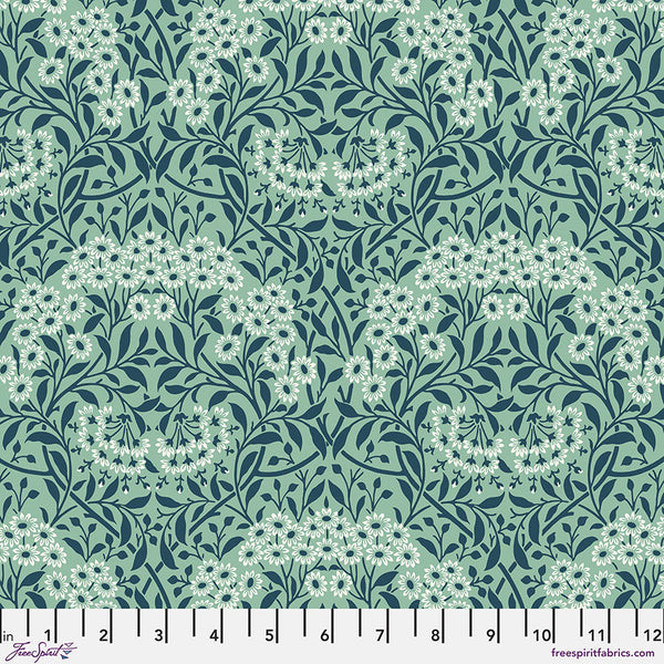 Buttermere Michaelmas Daisy Mint