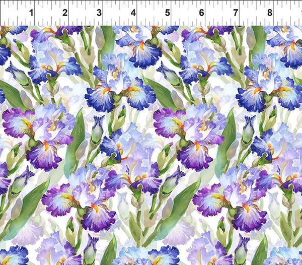 Decoupage Collection by Jason Yenter in Purple Iris for In the Beginning Fabrics