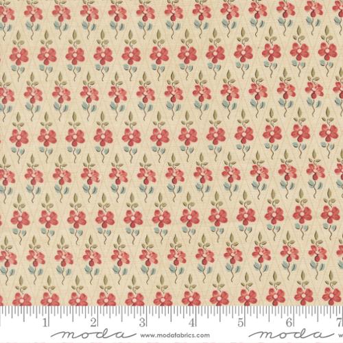 French General Fleur De Paris in Pearl