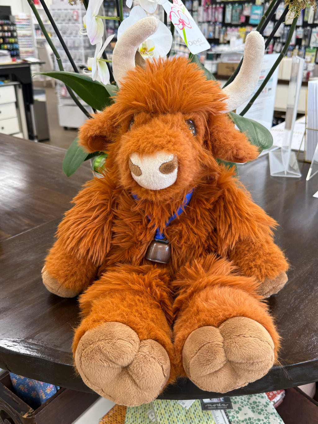 Bovine Cow in Cuddle Class — November 19