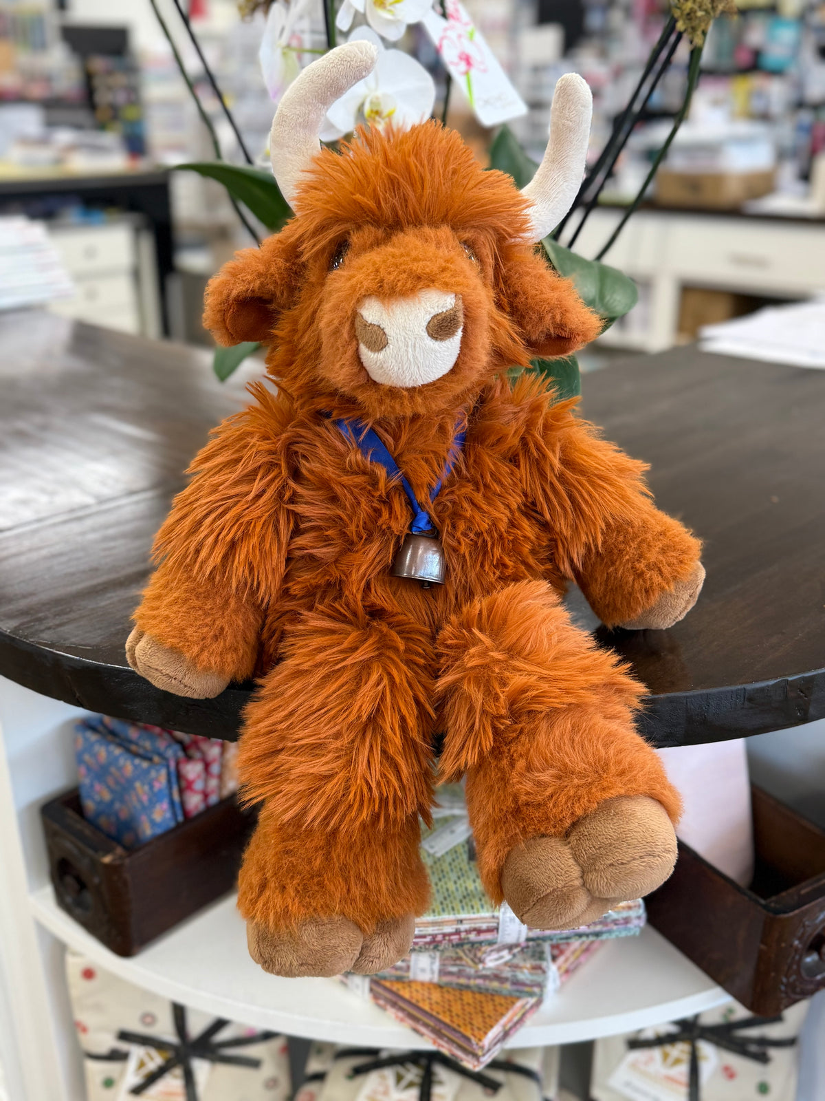 Bovine Cow in Cuddle Class — November 19