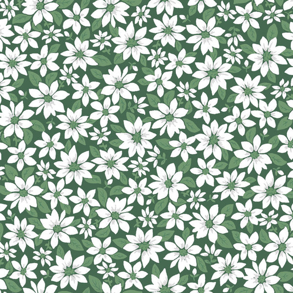 Merry Mix Poinsettia - Green