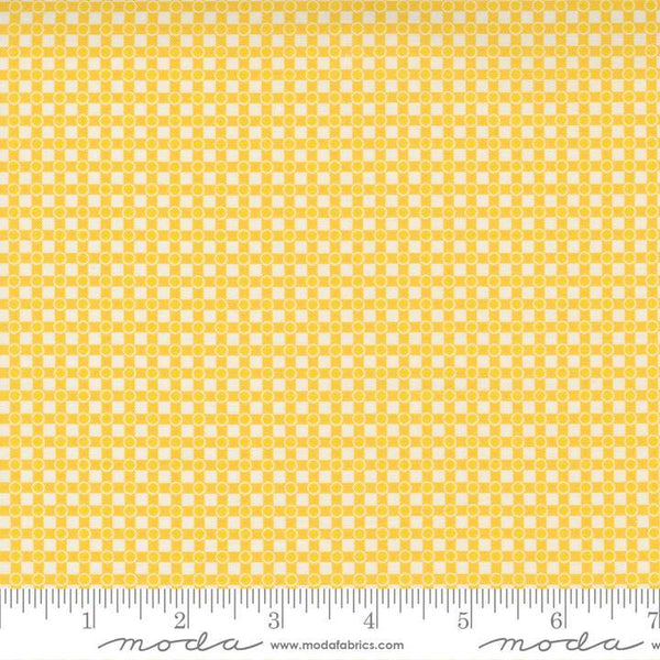Story Time Dotted Check Yellow