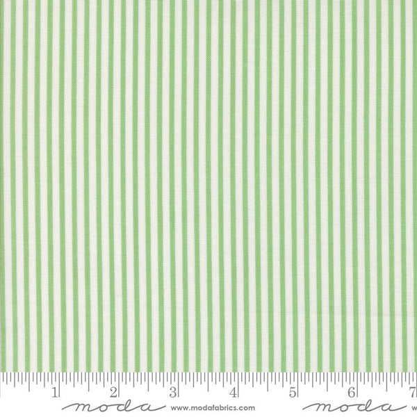 Summertime Green Stripe