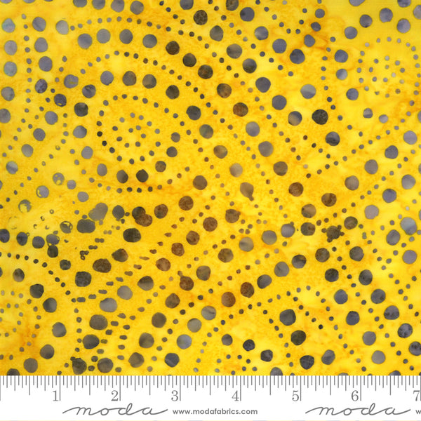 Sunny Day Batiks Sunshine Dots