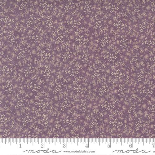 Wild Orchid Moth Purple