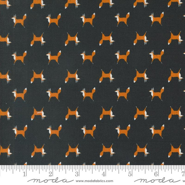 Woodland Wonder Midnight Fox