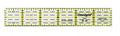 Omnigrid Ruler 1" x 6" - OG1