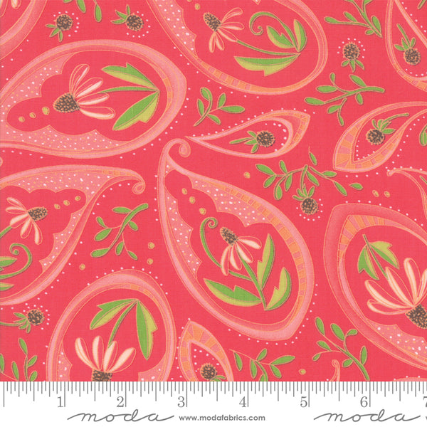 Painted Meadow Passion Paisley Coral