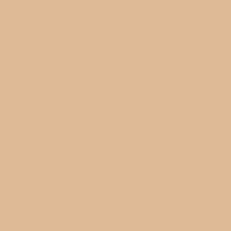QT Fabrics Canvas Solid Dye Organic in Camel Color