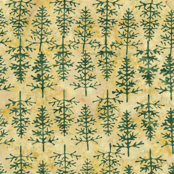 Yellow Butter Tree
