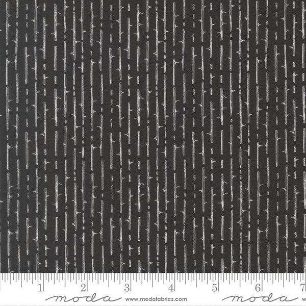 Coven 48806 - Onyx | Robin Pickens for Moda Fabrics