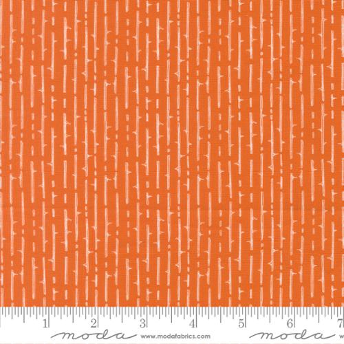 Coven 48806 - Pumpkin Spice | Robin Pickens for Moda Fabrics