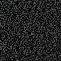 Garden Pindot Black - Michael Miller