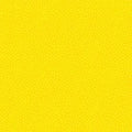 Garden Pindot Daisy - Michael Miller - CX1065-DAIS-D