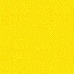 Garden Pindot Daisy - Michael Miller - CX1065-DAIS-D