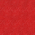 Garden Pindot Red - Michael Miller